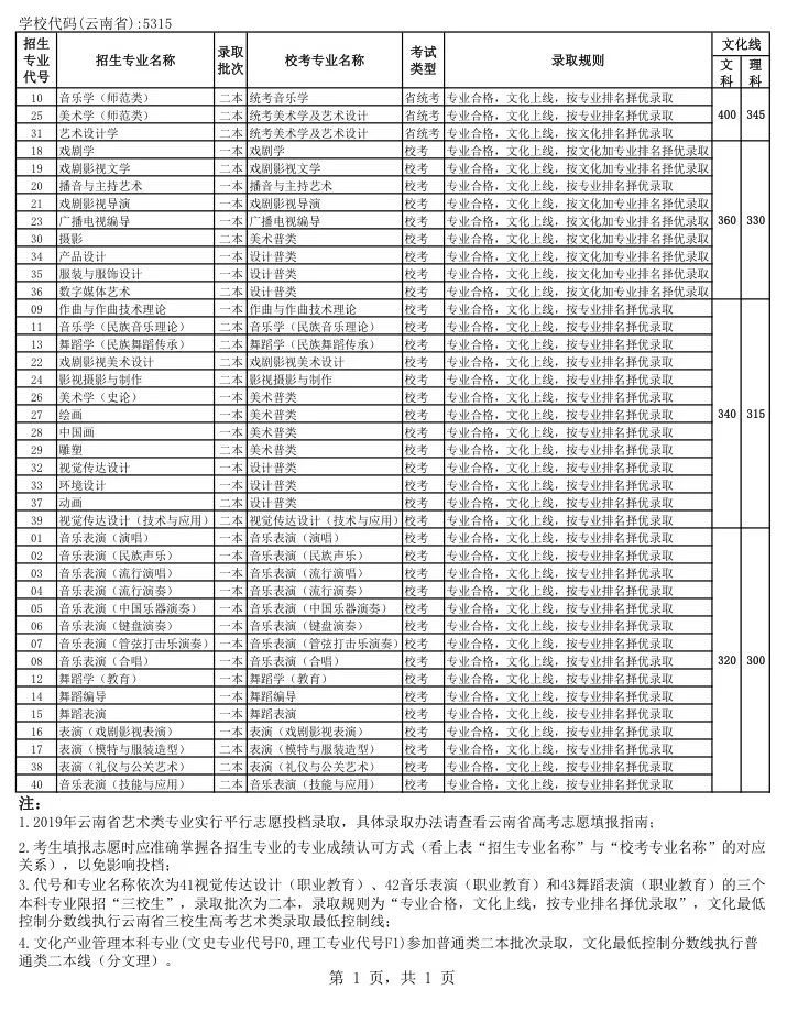 云南藝術學院2019年文化最低控制線云南省