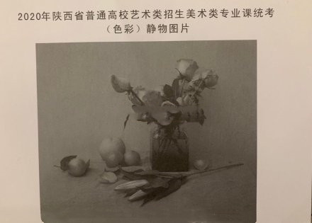2020年陜西美術(shù)聯(lián)考色彩考題